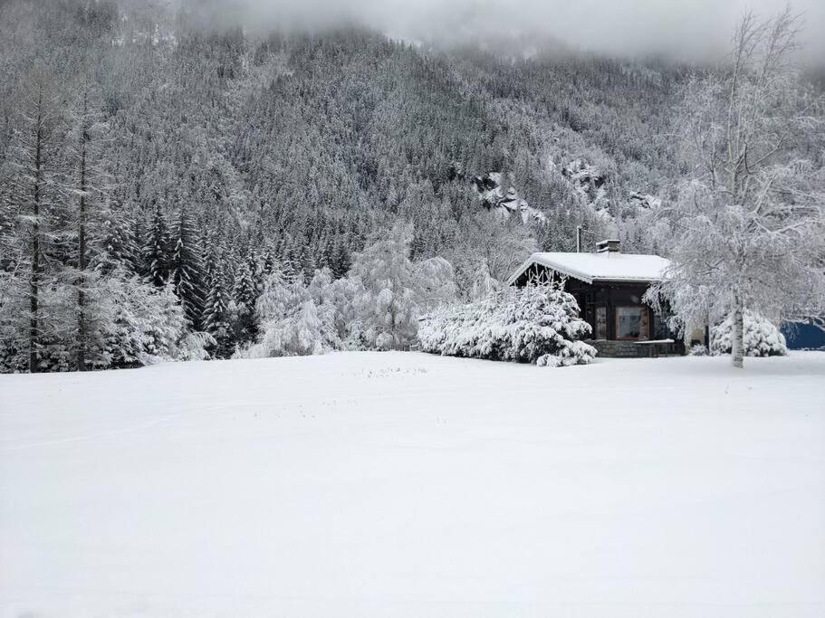 Chalet L'Ilet Ensoleille /Sunny Island Chalet Chamonix ภายนอก รูปภาพ