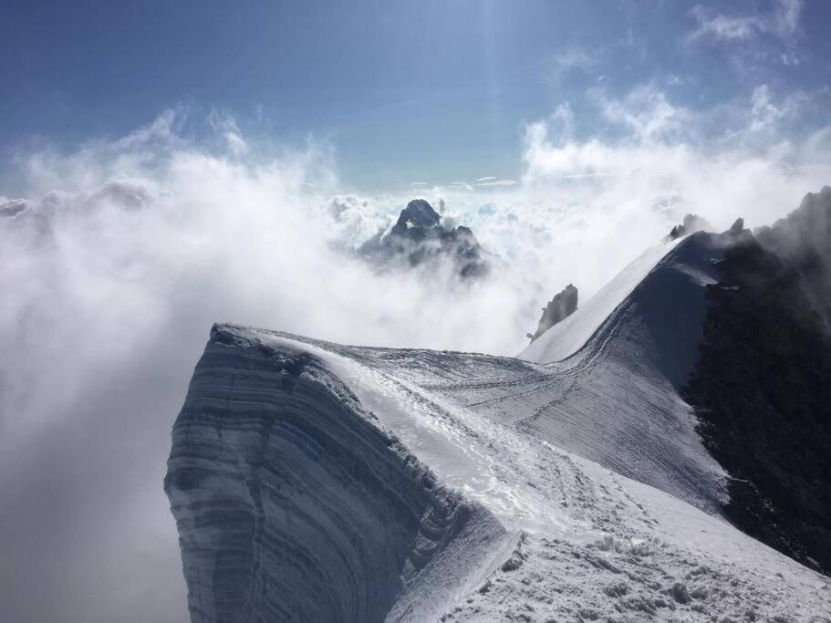 Chalet L'Ilet Ensoleille /Sunny Island Chalet Chamonix ภายนอก รูปภาพ